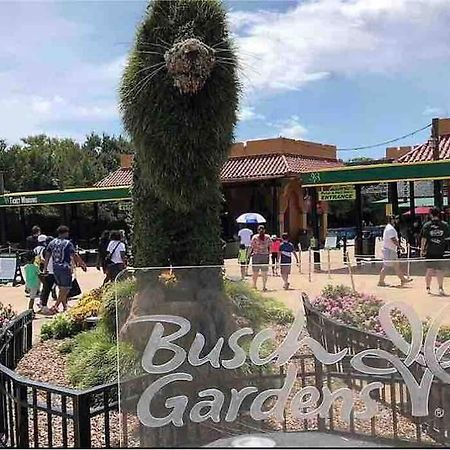 Minutes To Fairgrounds, Hard Rock, & Busch Gardens Villa Tampa Dış mekan fotoğraf