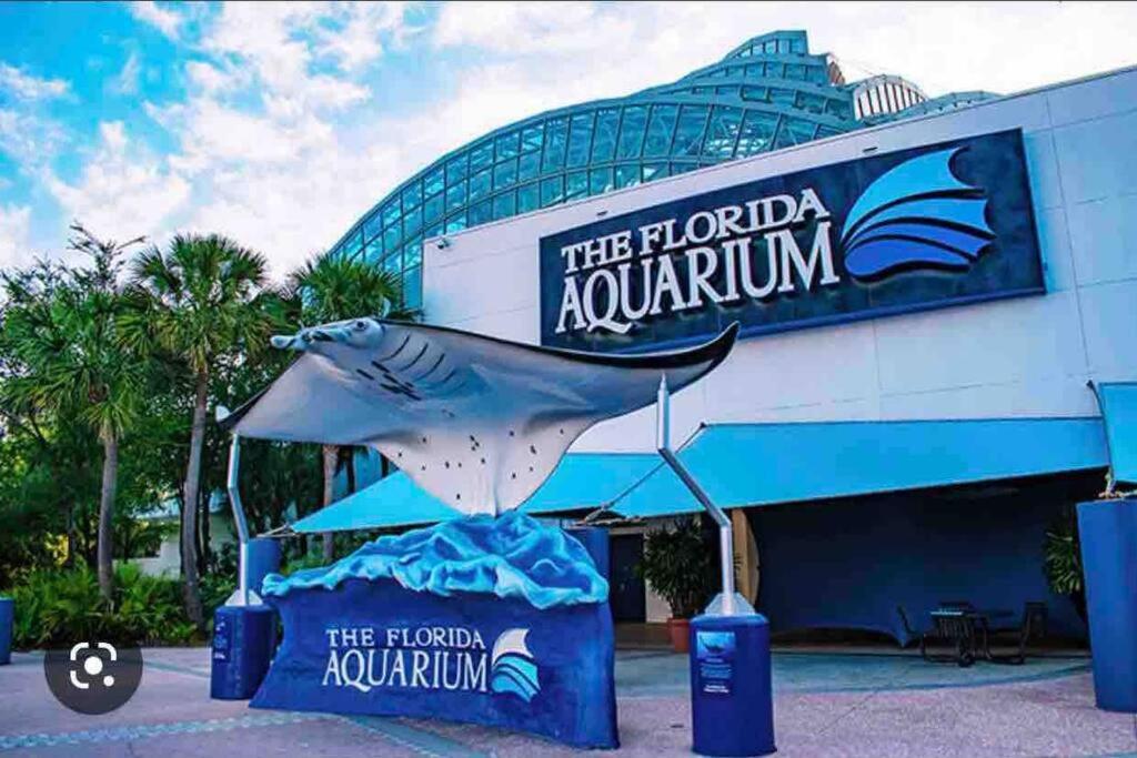 Minutes To Fairgrounds, Hard Rock, & Busch Gardens Villa Tampa Dış mekan fotoğraf